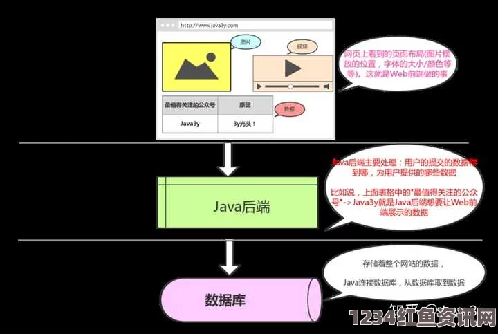 探索JAVAPARSERHD夫妻：深入解析视频内容与背后的故事