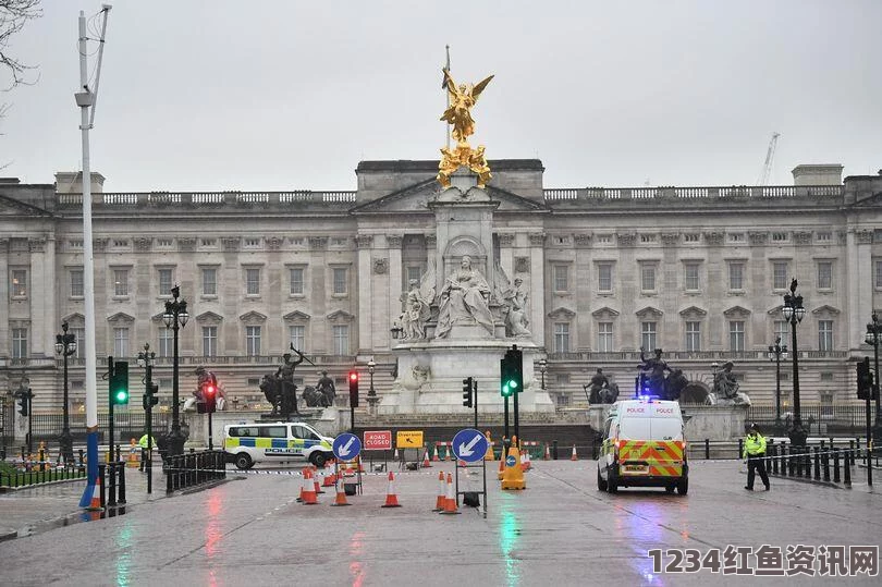 英国男子因无人机违规飞越白金汉宫上空遭警方起诉