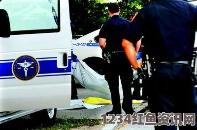 纽约华裔妇女过马路遭遇车祸身亡，司机或将面临法律严惩