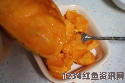 牛奶榨汁机的使用技巧与推荐：解锁健康饮品新体验