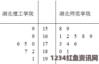 深入解析一码、二码、三码在日本的具体区别及其应用场景