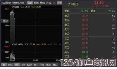 青椒影视2.6.5版本评测：全新功能与用户体验深度分析