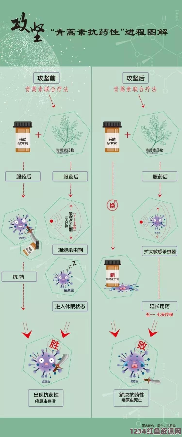 “深入探讨药效1v2h的机制及其在临床应用中的重要性”