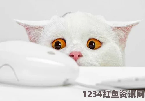 全新体验：猫咪地域网名入口下载，畅享独特互动乐趣