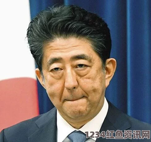 日本众议院选举结果，自民党获胜与安倍晋三的连续执政展望