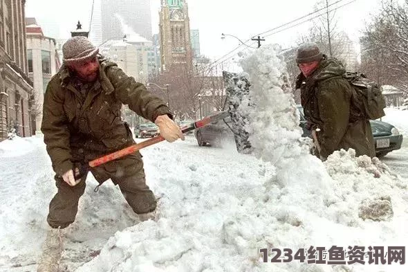 加拿大多伦多迎来今冬首场大雪，城市交通与航班受影响，80架航班被迫取消