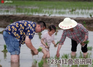 探索夫妻间的100种插秧法：让田园生活更添乐趣的人民网报道