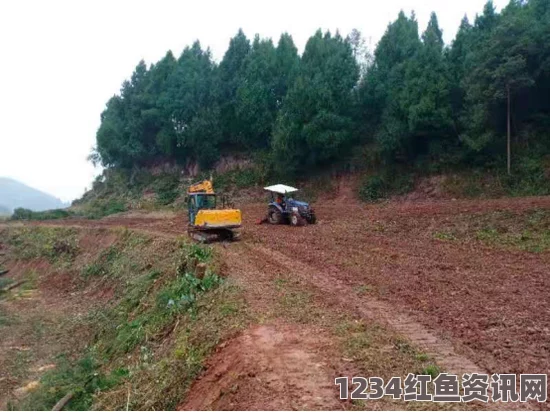 儿子耕种母亲的田地，传承与责任交织的乡村故事