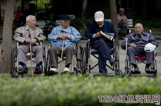 日本乡村老龄化背景下的稻草人艺术，老奶奶们的守护与生机