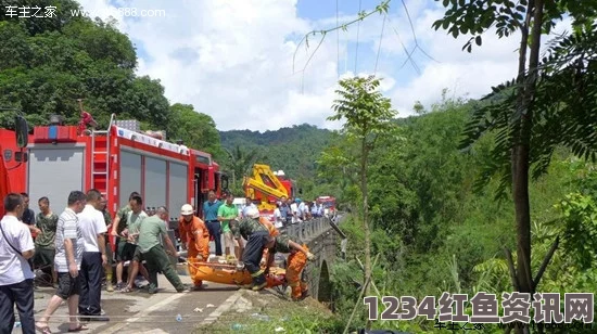 尼泊尔大巴坠谷事故造成重大伤亡，车祸悲剧震惊全国