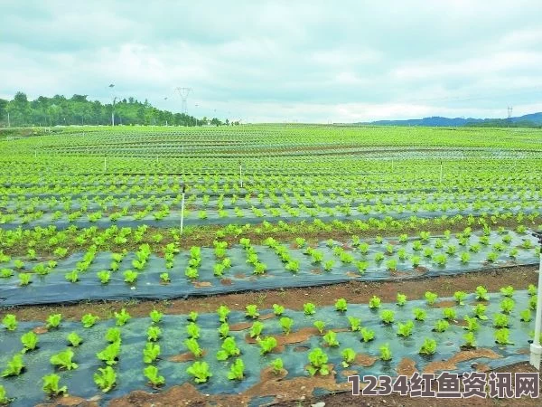 金正恩视察鲇鱼厂，推动集约化养鱼，点燃养鱼革命之火