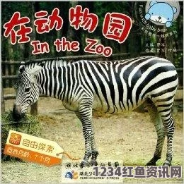 探索ZOOM动物合集VERDEOS：奇妙生物的精彩瞬间与生态之美