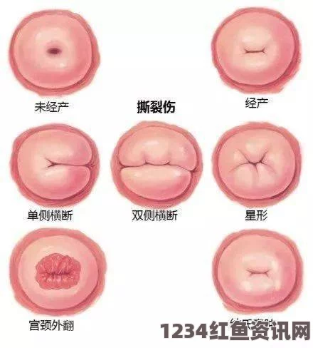 女性健康与美丽：探索正常阴脣的自然形态及其图片展示