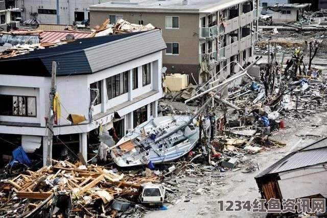 日本长夜地震，一次深夜的震动与应对挑战