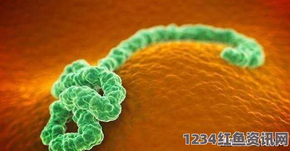 日本大学成功利用鸵鸟蛋大量生产埃博拉病毒抗体，突破性的生物科技进展