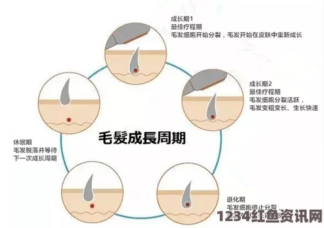 国产一区二区三区四区精华液毛的护肤体验与使用技巧解析