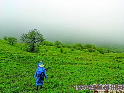 探索亚二新区：解密无人区二的神秘面纱与未来发展