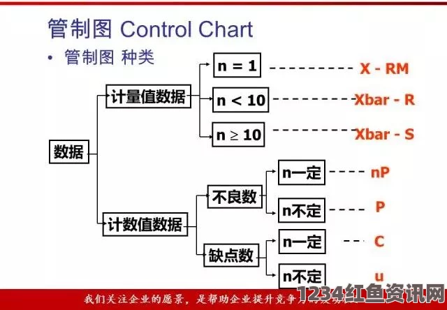 九么高危风险9.1免费版安装教程：全面解析与实用技巧