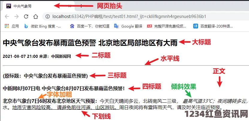 完整解析成品网站W灬源码16的功能与应用价值