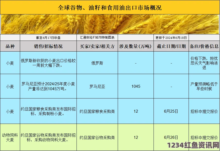 大豆行情网免费V完整版：全面解析大豆市场动态与投资机会