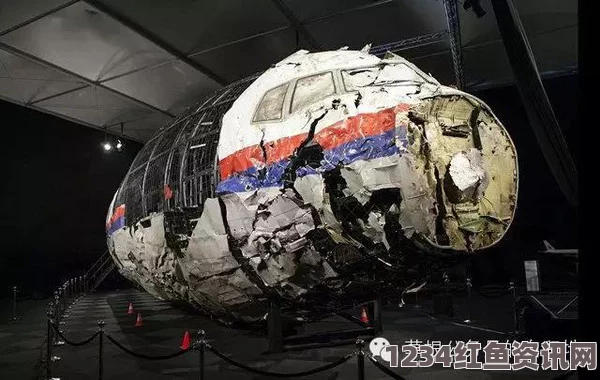 马航MH17空难，五具罹难者遗体棺木回到荷兰，再度唤起悲痛记忆