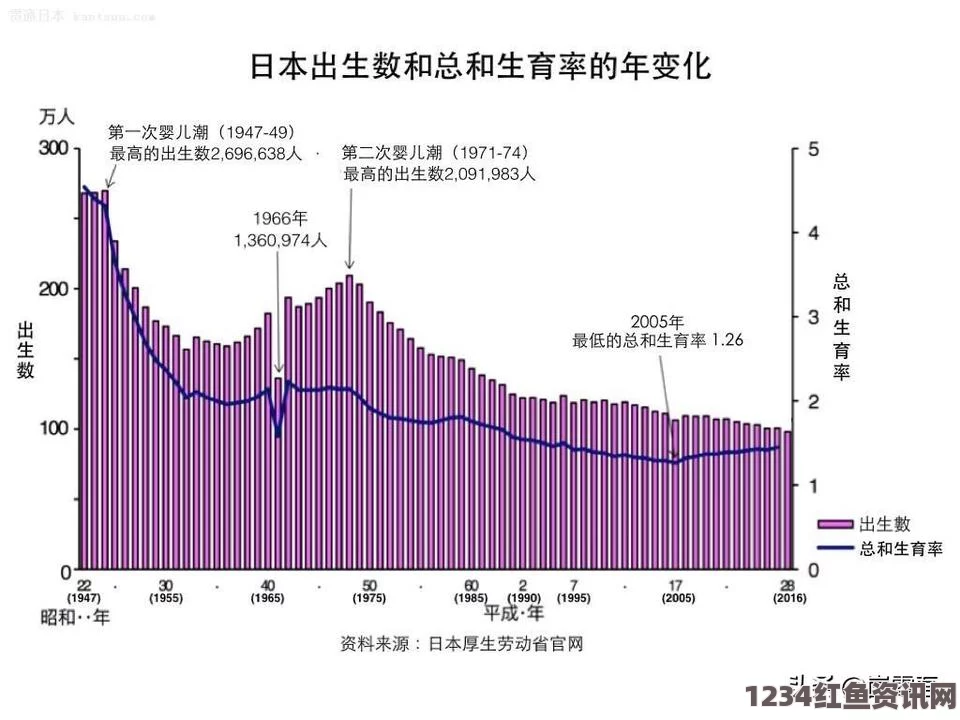 探究日本一码、二码、三码尺码系统的民主化变革及其影响