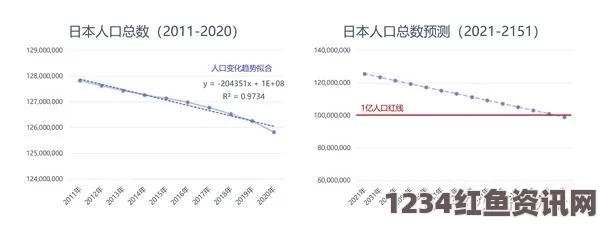 探究日本一码、二码、三码尺码系统的民主化变革及其影响