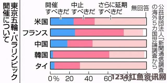 探究日本一码、二码、三码尺码系统的民主化变革及其影响