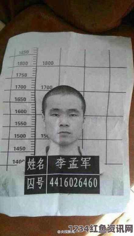 广东韶关监狱越狱案深度解析，司法部的反思与应对策略研究