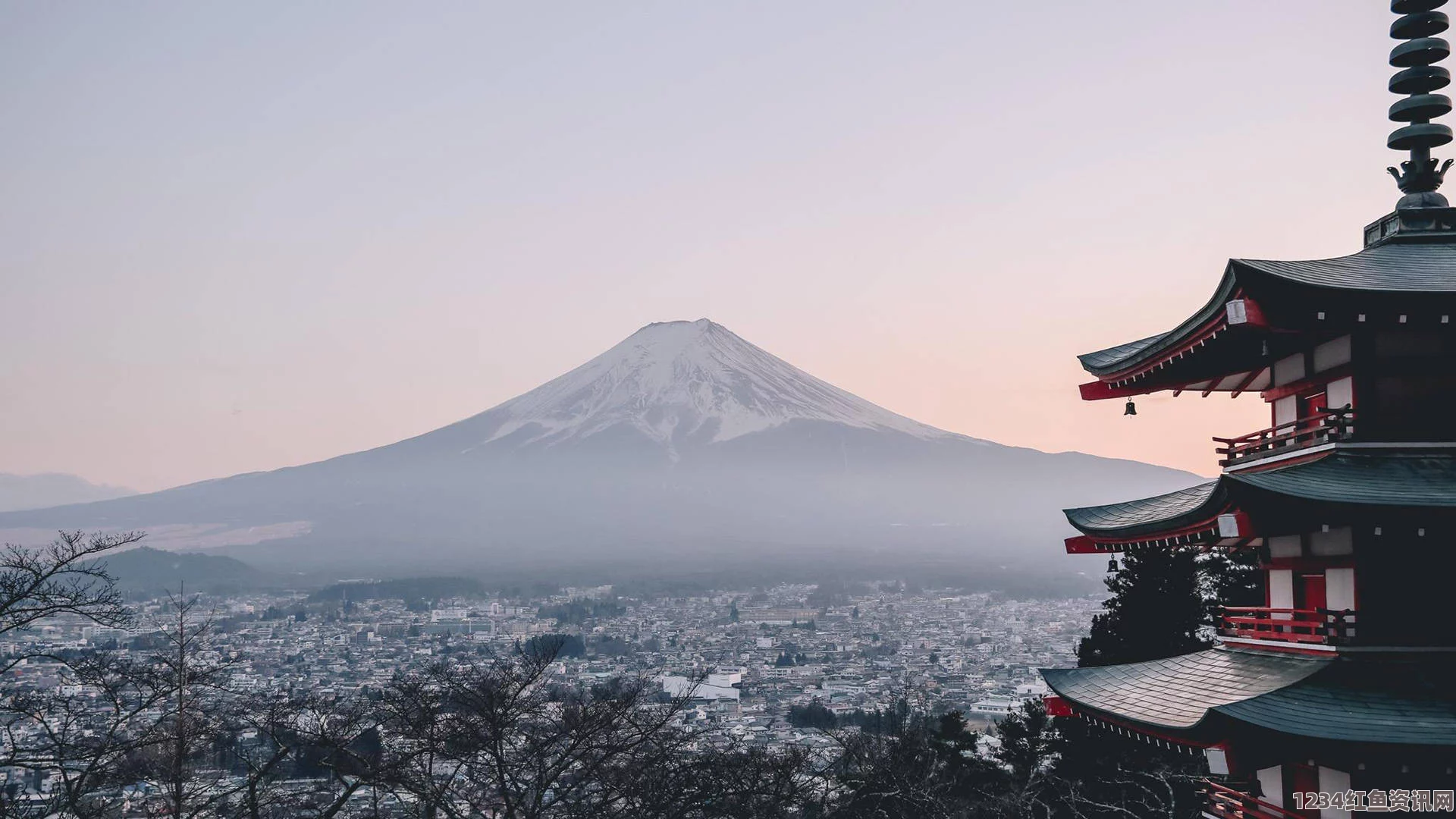 ZLJZLJ日本人水多多：探寻日本文化中的丰富情感与生活哲学