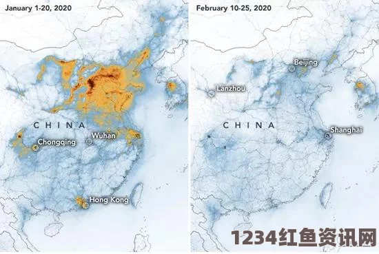 全新接口上线，精品产区WNW2544焕发新生机与活力