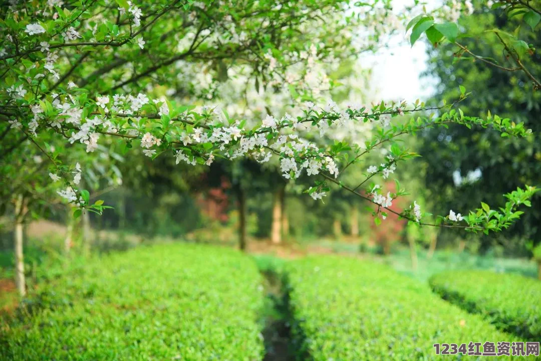 品味阳春止水：烟树小荞带你领略春日的静谧之美