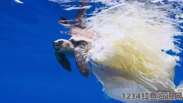 塑料垃圾引发海洋生态危机，每年超千万生物受害，恶化趋势亟待遏制防治行动刻不容缓