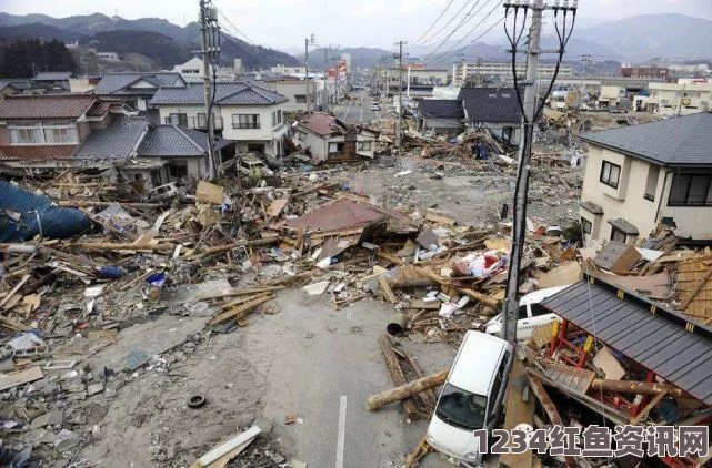 日本鹿儿岛县奄美地区发生地震，初步评估与应对措施