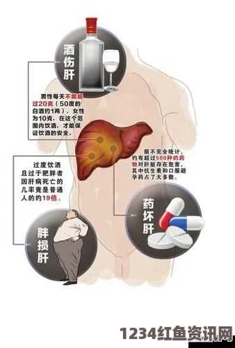 办公室强肝现象：是职场健康的积极信号还是潜在的恶性隐患？