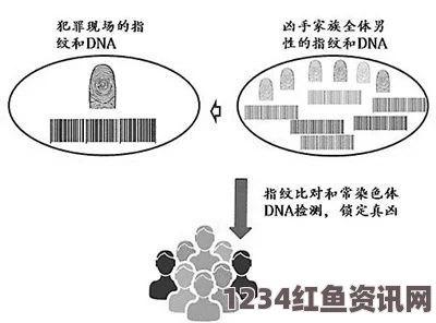 探讨母亲与儿子之间的DNA相似性及其遗传学意义