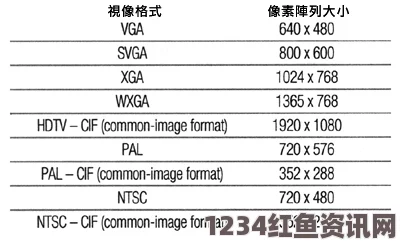 深入解析亚洲一码与欧洲二码之间的尺码差异及其选购建议