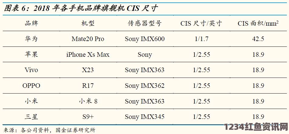 深入解析亚洲一码与欧洲二码之间的尺码差异及其选购建议