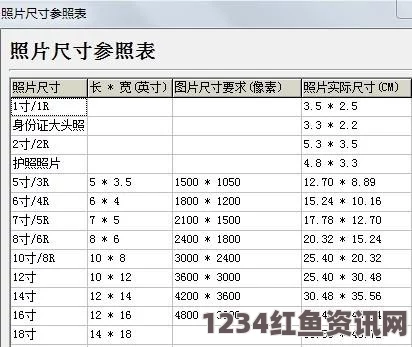 深入解析亚洲尺码与日本尺码的专线对比，助你选购无忧