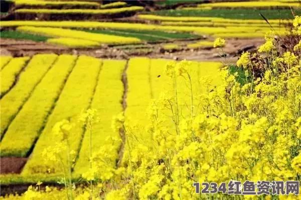 春天里最动人的风景：满园花海与鸟语唤醒大地的美丽瞬间