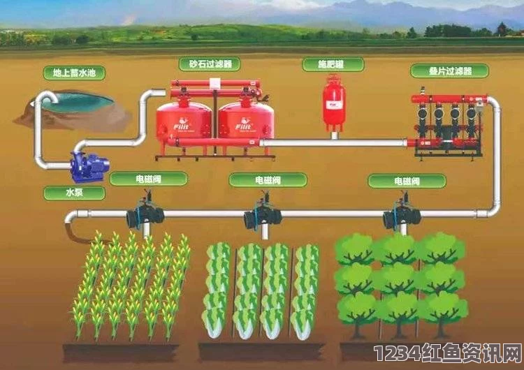 高效节水的JY灌溉收集系统顾泽：优化农业生产的新选择