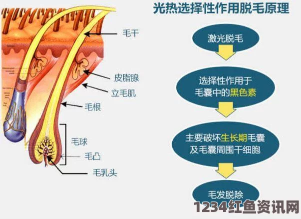 国产一区二区三区四区精华液毛的独特功效与使用指南解析