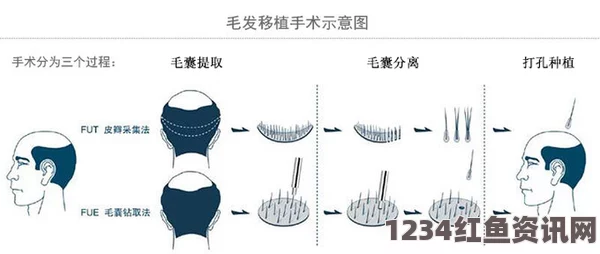 国产一区二区三区四区精华液毛的独特功效与使用指南解析