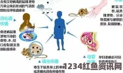 马尔堡病毒，症状简介与出血热传染病特性