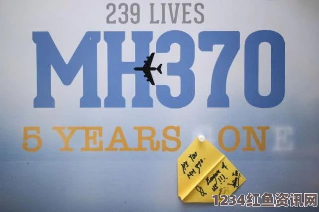 马航MH370航班南印度洋搜索行动重启，回顾历程与期待解答的问答环节