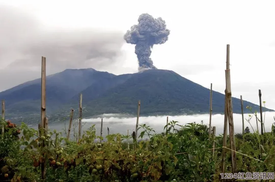 日本御岳火山喷发致重大伤亡，台风巴蓬阻碍搜救行动——灾难下的紧急挑战