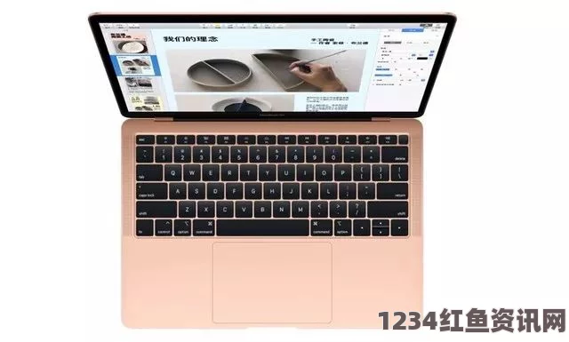 1213岁MacBook在日本被指将面临封禁，对用户影响深远引发热议