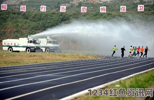 专家解析，ISIS发动大规模恐怖袭击的能力评估——与9·11事件相比相差甚远