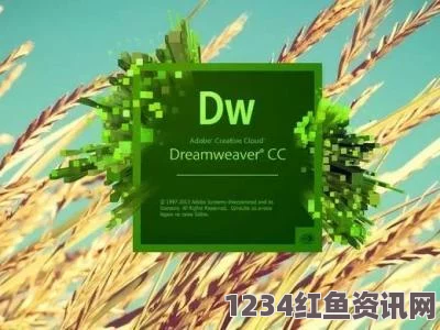 深入解析DW成品网站成品的设计与功能特点及其应用价值