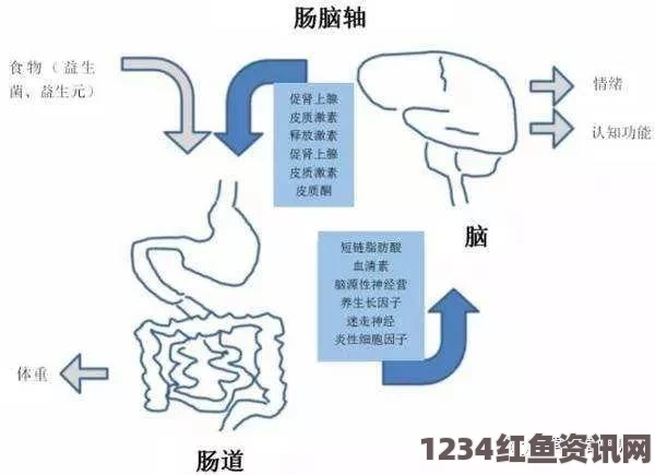 优质液体收集系统P的工作原理及其在工业应用中的重要性解析